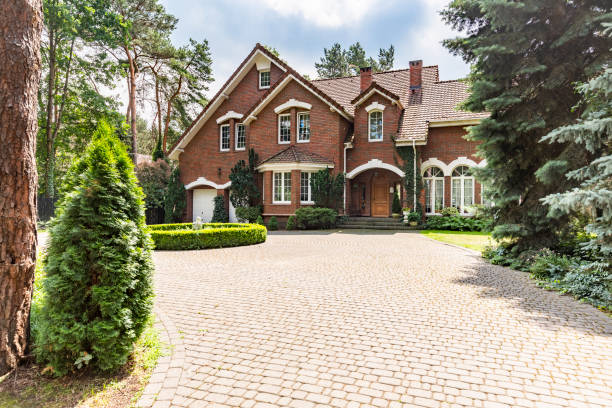 Best Driveway Paving Near Me  in Jackson, MN