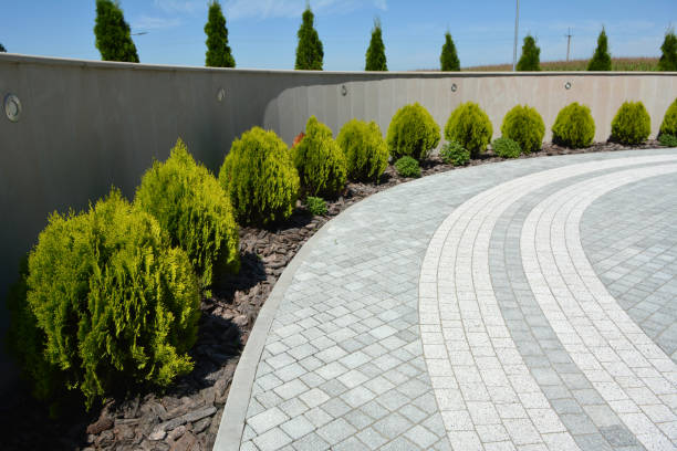 Professional Driveway Pavers in Jackson, MN