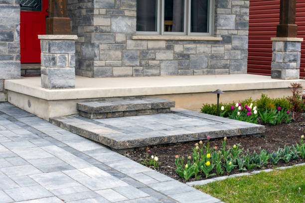 Best Driveway Paving Contractor  in Jackson, MN